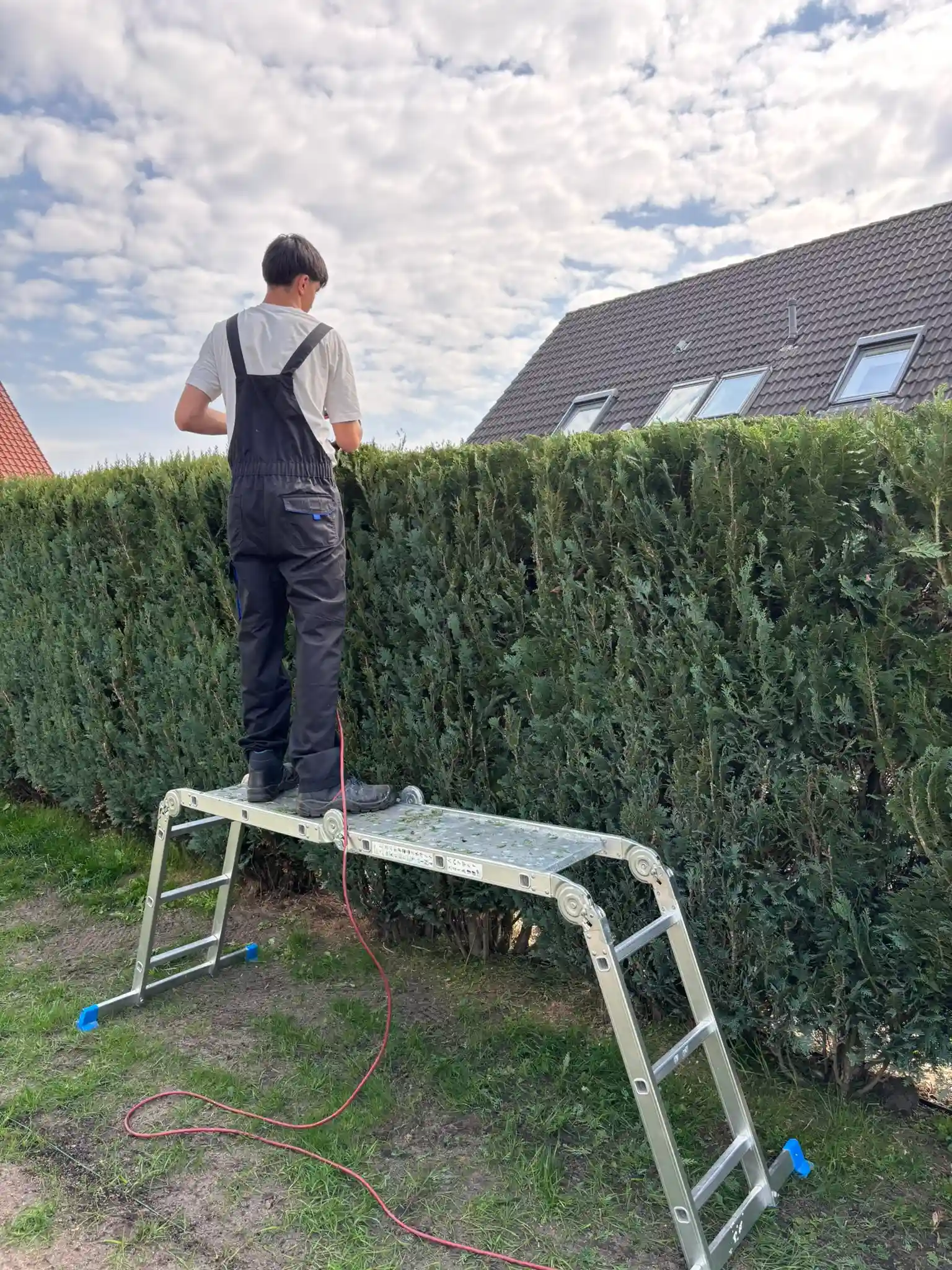 Gärtner schneidet Hecke